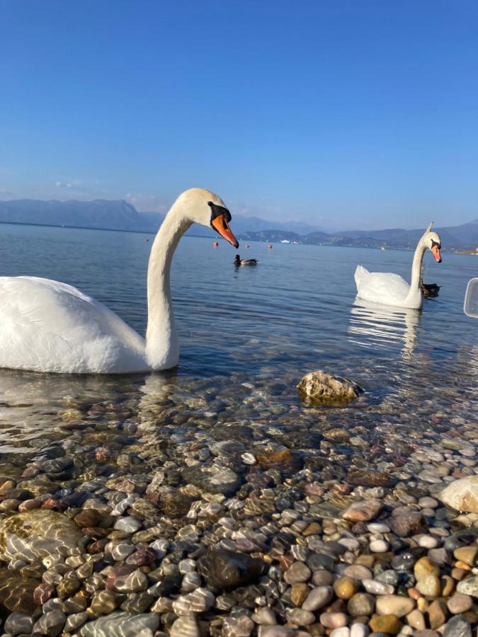 Garda Art&Lake Peschiera del Garda Bagian luar foto